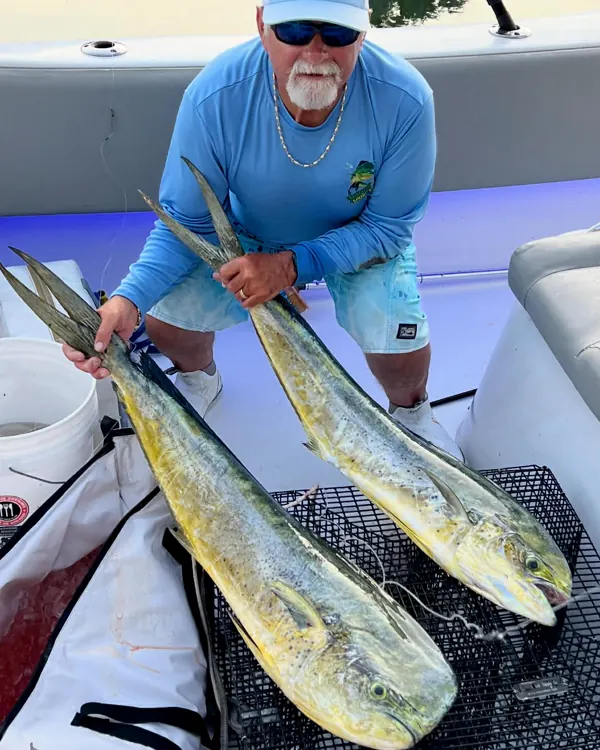 Angler kneeling with two mahi on a boat