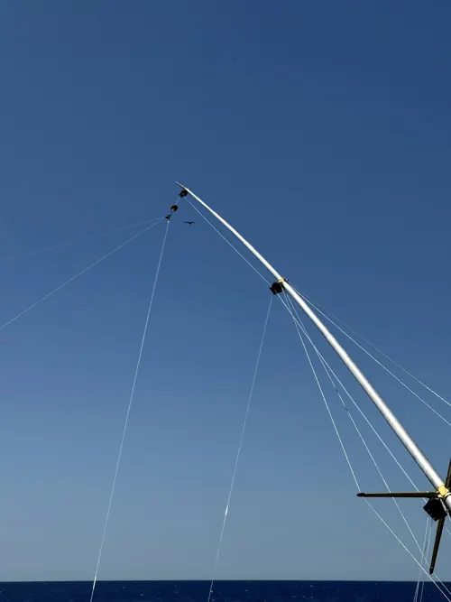 Outrigger pole with its spreader and lines against a clear blue sky